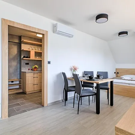 Guest house Salaska