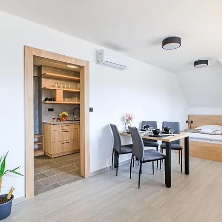 Salaska Guest house *